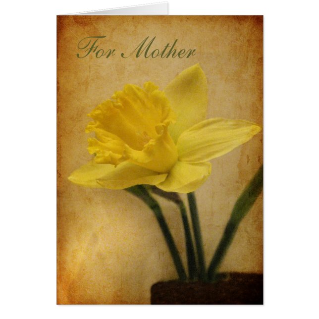 Por Madre con Daffodil (Frente)