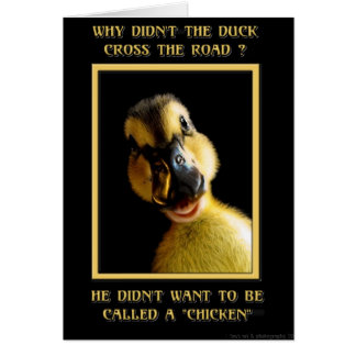 ¿Por qué el pato no cruzó la carretera?