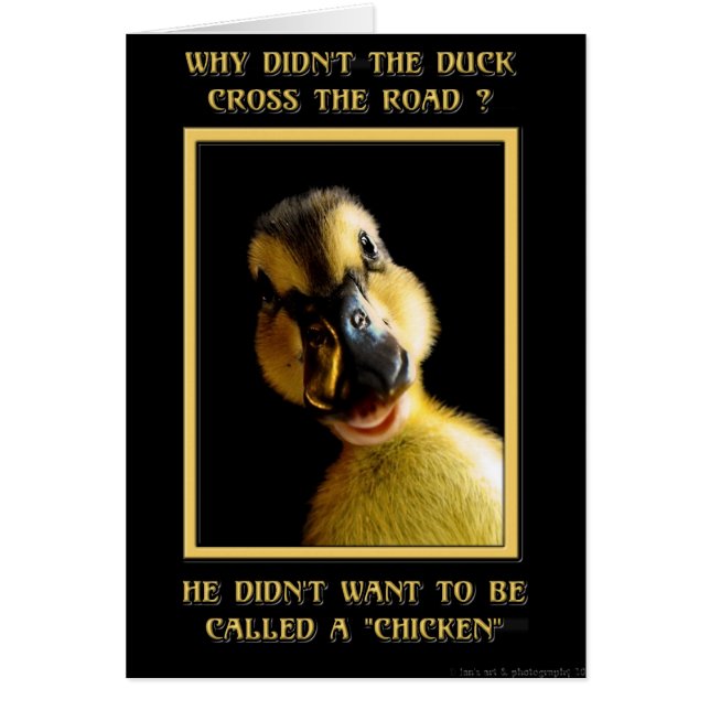 ¿Por qué el pato no cruzó la carretera? (Frente)