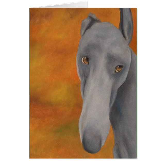 ¿Por qué el rostro largo? (a393) (Frente)