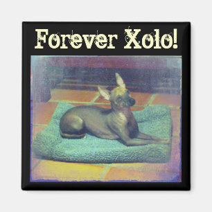 ¡Por siempre Xolo! Imán