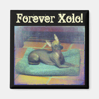 ¡Por siempre Xolo! Imán