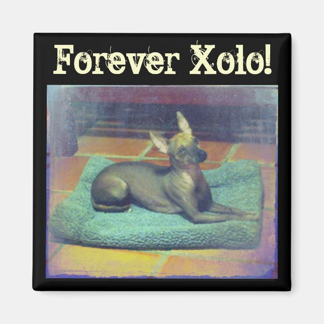 ¡Por siempre Xolo! Imán (Frente)