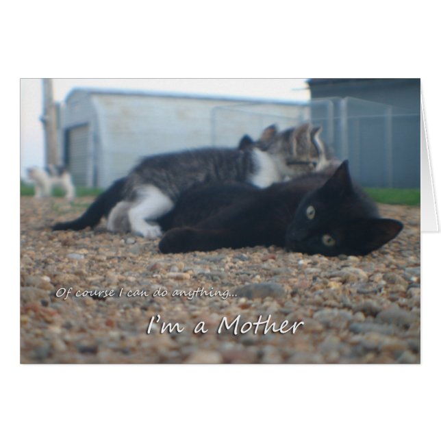 Por supuesto que puedo cualquier cosa. (Anverso (Horizontal))