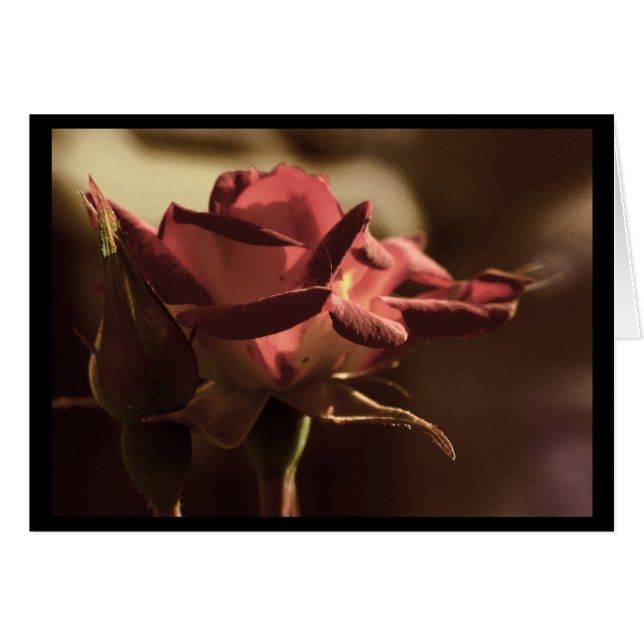 Por ti (Anverso (Horizontal))