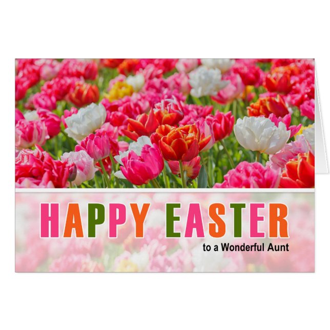 por tía en el jardín de tulipanes rosados de Pascu (Anverso (Horizontal))