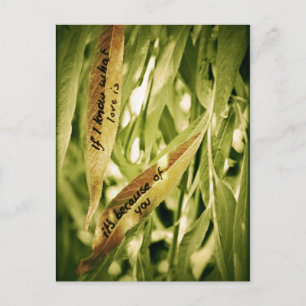 Por tu postal de amor