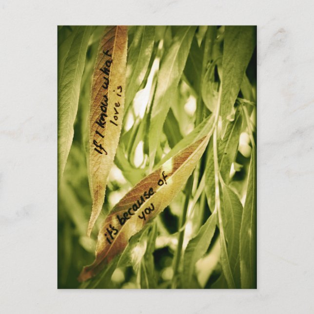 Por tu postal de amor (Anverso)