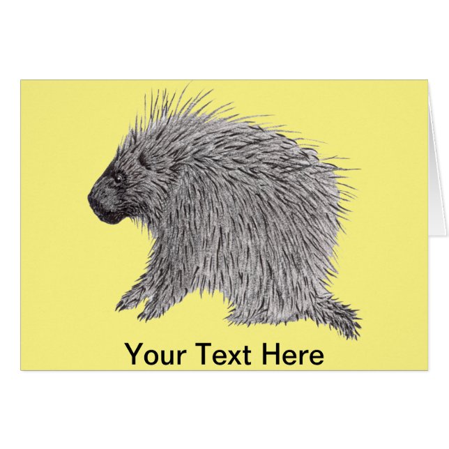 Porcupina (Anverso (Horizontal))
