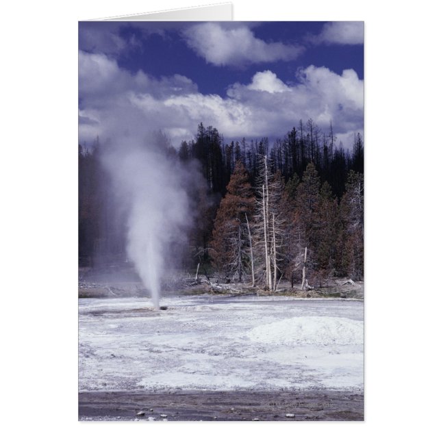 Pork Chop Geyser, Parque Nacional Yellowstone (Frente)