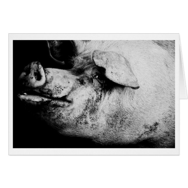 porker portrait (Anverso (Horizontal))