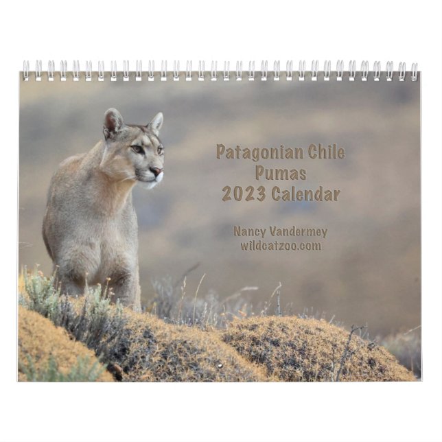 Pormas del calendario 2023 de Chile (Tapa)