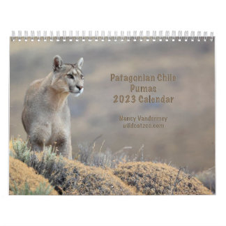Pormas del calendario 2023 de Chile