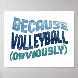 Porque Poster de voleibol - Divertido arte de vole