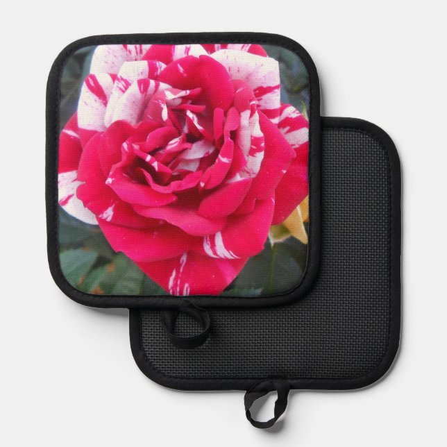 Porta Ollas Anicia (Anverso/Reverso)