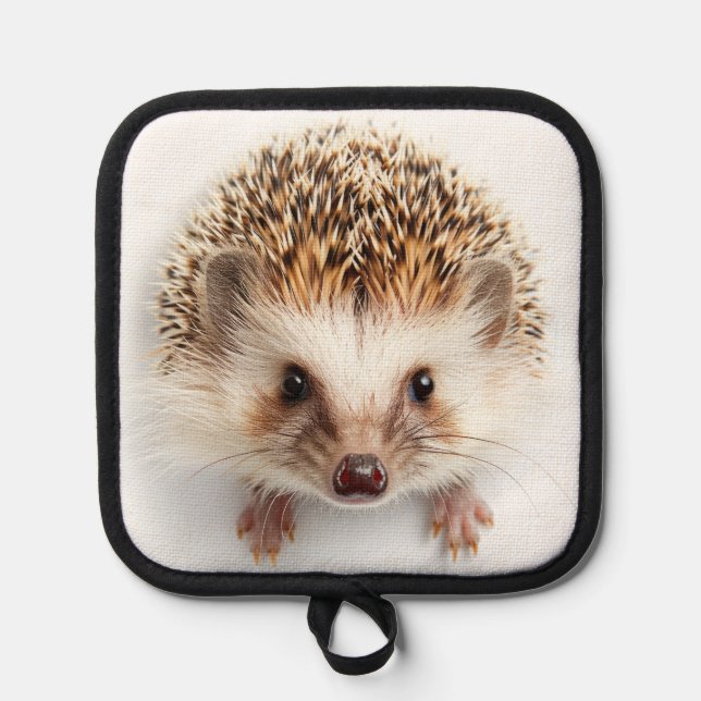 Porta Ollas Baby Hedgehog (Anverso)