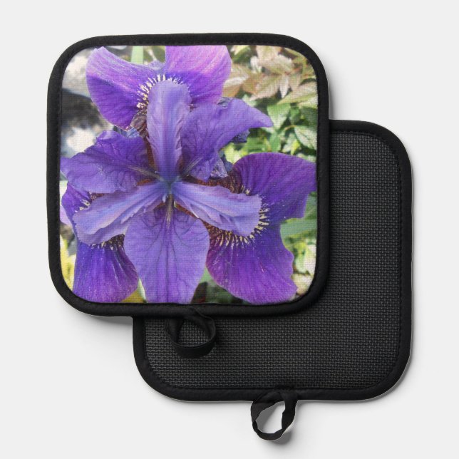 Porta Ollas Brandeis (Anverso/Reverso)