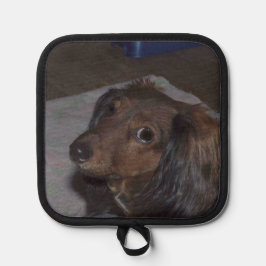 Porta Ollas Dachshund Dog