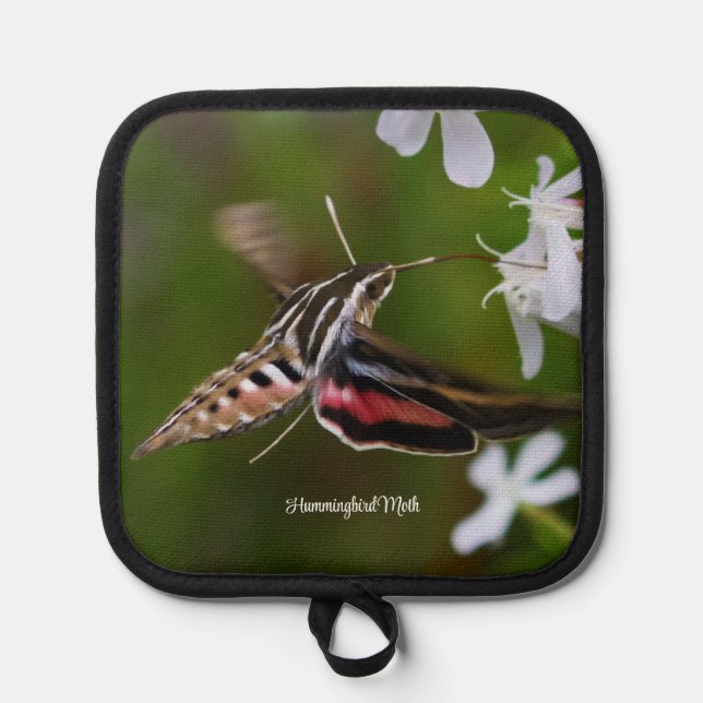 Porta Ollas Hummingbird Moth (Anverso)