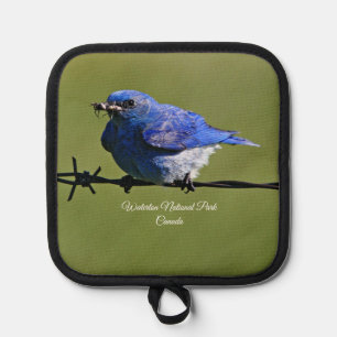 Porta Ollas Male Occidental Bluebird con bichos