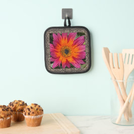 Porta Ollas Porte de la olla con brillante Gazania magenta