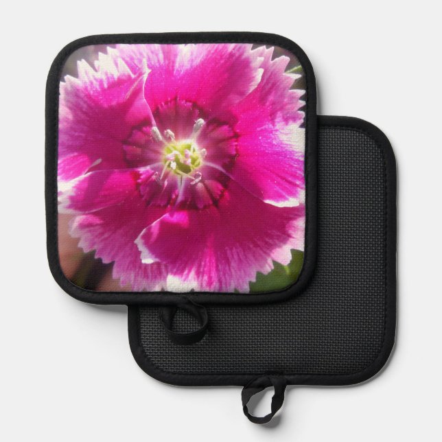 Porta Ollas Promesa (Anverso/Reverso)