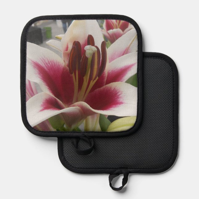 Porta Ollas Star Gazer (Anverso/Reverso)