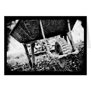 portaaviones recubierto