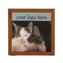 Gatito durmiente