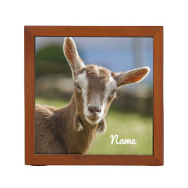 Portalápices Togenburg Dairy Goat Kid