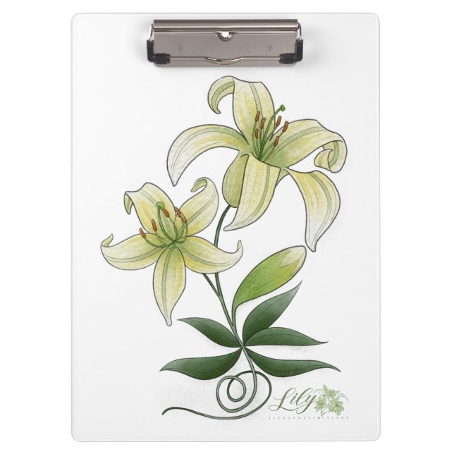 Portapapeles (Anverso)