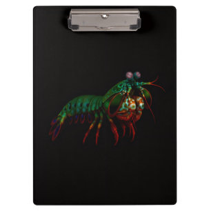 Portapapeles Black 4 Luxe, camarón mantis