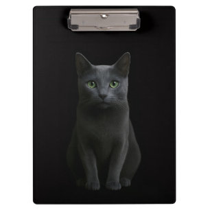 Portapapeles Black 4 Luxe con gato ruso azul
