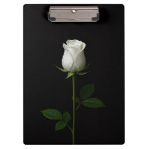Portapapeles Black 4 Luxe con Rosa Blanca Pura