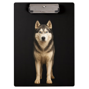 Portapapeles Black 4 Luxe, Husky Icy Elite