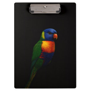 Portapapeles Black 4 Luxe, Loro Lorikeet Arcoíris
