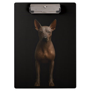 Portapapeles Black 4 Luxe, Perro Pila Argentina