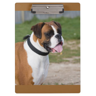 Portapapeles con foto de Boxer / perro lindo