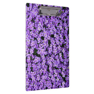 Portapapeles con violetas