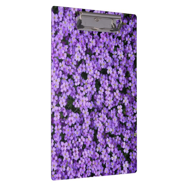 Portapapeles con violetas (Derecha)