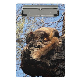 Portapapeles de ardilla