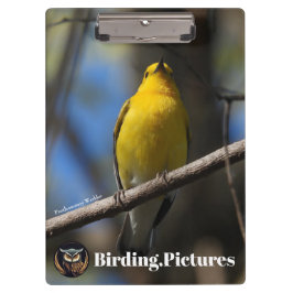 Portapapeles de aves.Imágenes