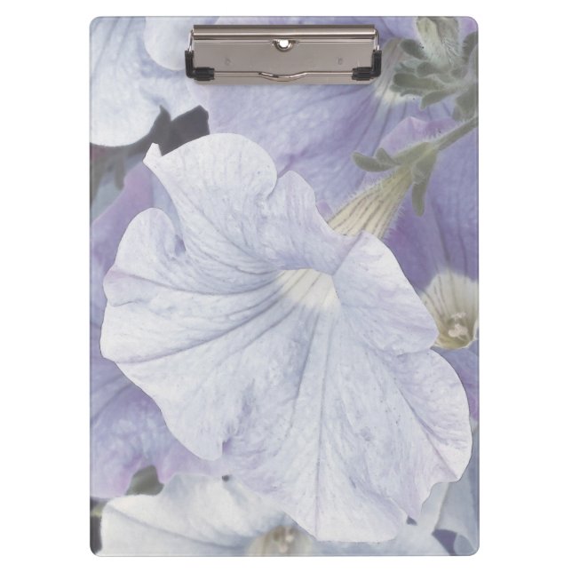 Portapapeles de Blue Petunia Blossom (Anverso)