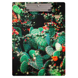 Portapapeles de Cactus de Guay