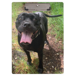 Portapapeles de Canso X