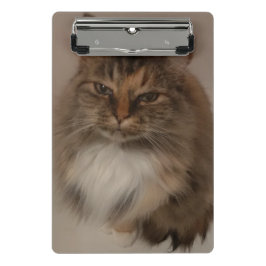 Portapapeles de Cat