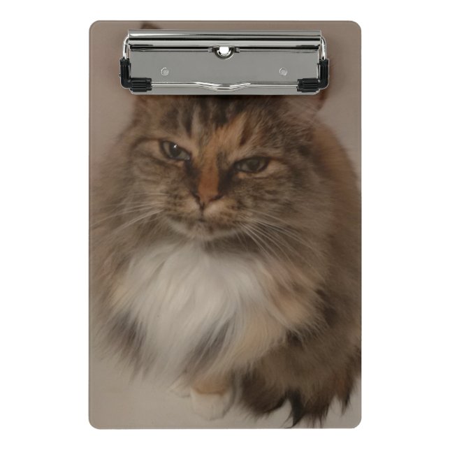 Portapapeles de Cat (Anverso)