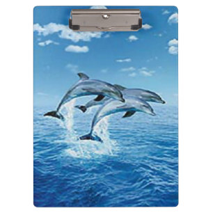 Portapapeles de delfines