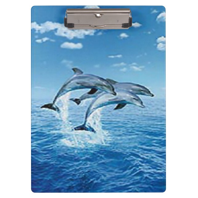 Portapapeles de delfines (Anverso)