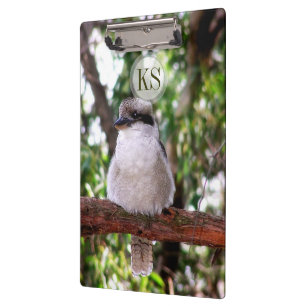 Portapapeles de fotografía de Kookaburra Bird Aust